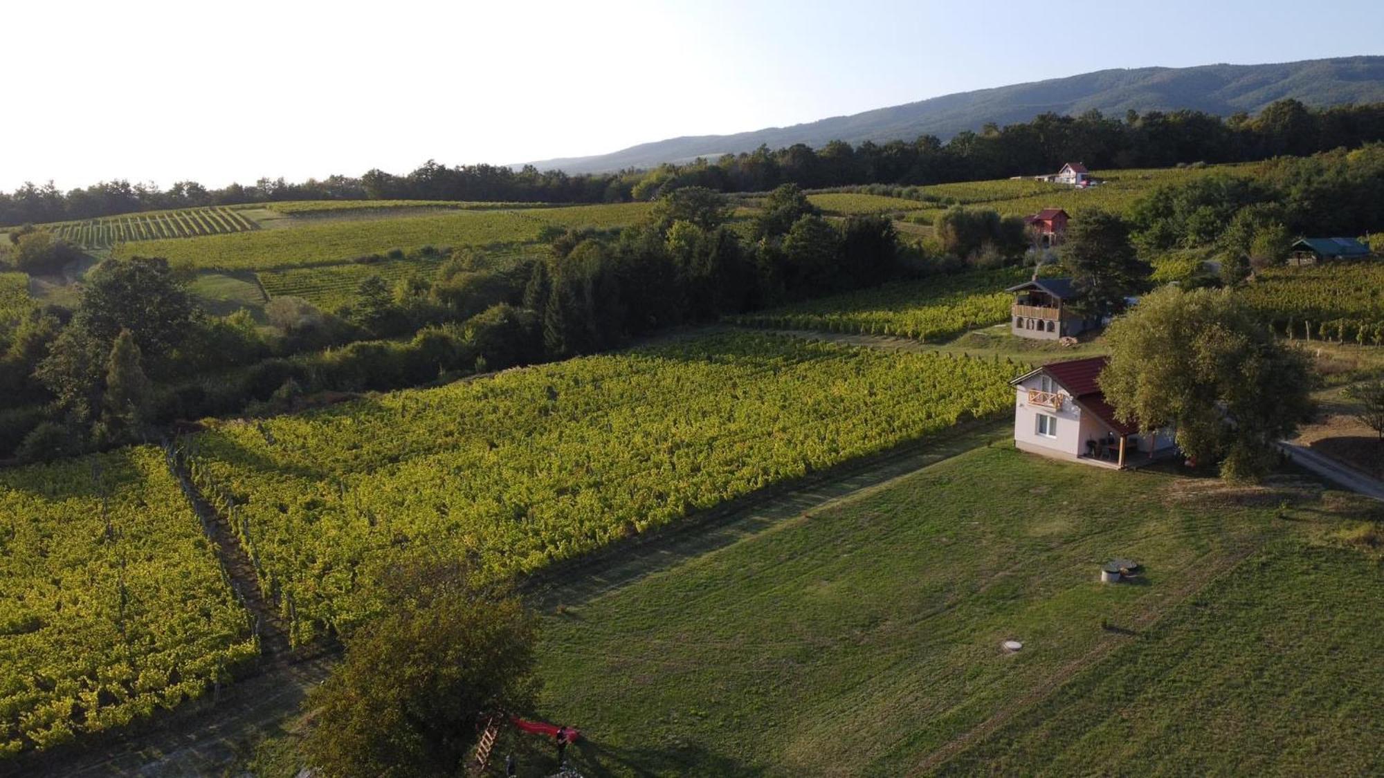 Holiday Home Vinovilla Kutjevo Extérieur photo